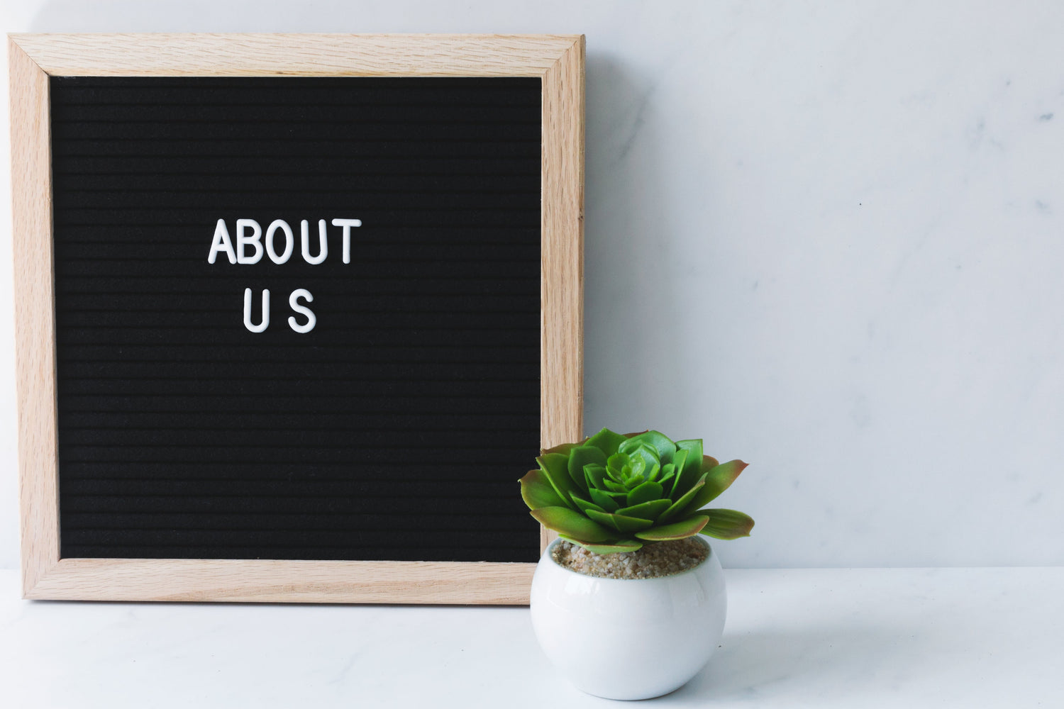 "about us" on a letter box sign with a potted succulent beside it